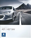 Peugeot_407-SW_2008.jpg