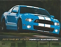 Shelby_GT500_2013.jpg