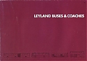 Leyland_Bus-Coach_100.jpg